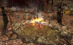 Image of Camp Fire-pit