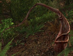 Corrupted Undergrowth.jpg