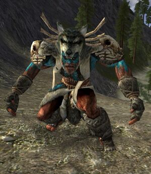 Gauradan Ritualist (Evendim).jpg