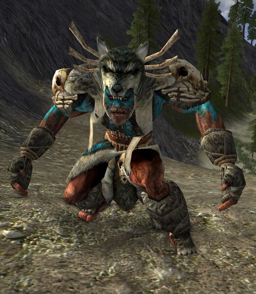 File:Gauradan Ritualist (Evendim).jpg
