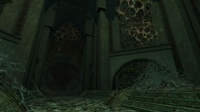 Spiderwebs all over the place.