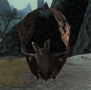 Wild Bloodfangs dwell among the merrevail of Himbar, in northern Angmar.