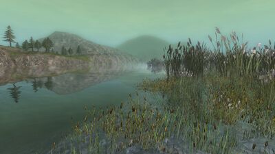The water enters the Rushgore, feeding the swampland and creating a rich habitat for a variety of species.