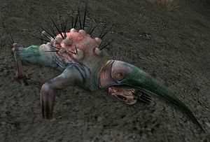 Blade-beak Burrower.jpg