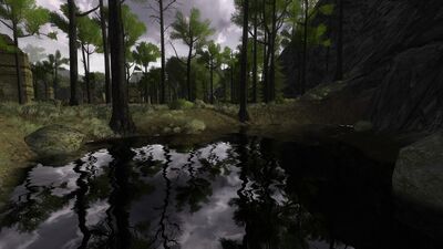 A pond by the western marshes