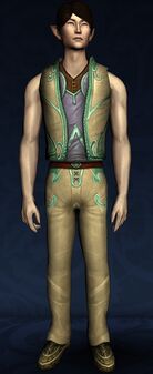 Sleeveless Elven Tunic