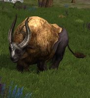 The Great Bull, an ancient and powerful ox of Lamedon in Western Gondor.