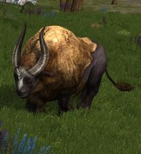 The Great Bull, an ancient and powerful ox of Lamedon in Western Gondor.