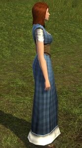 Picnic Dress