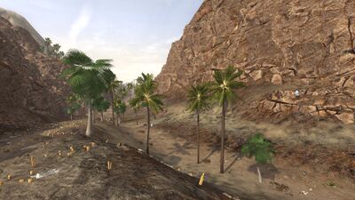 In the shaded valley between the regions, enough ground water remains to sustain a stretch of palm trees.