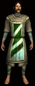 Bounder's Hauberk