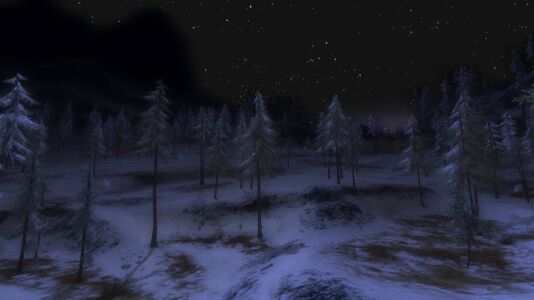 Frostbluff at night