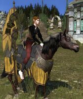 Image of Lamedon Steed