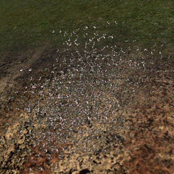 File:Swarm of Locusts.jpg