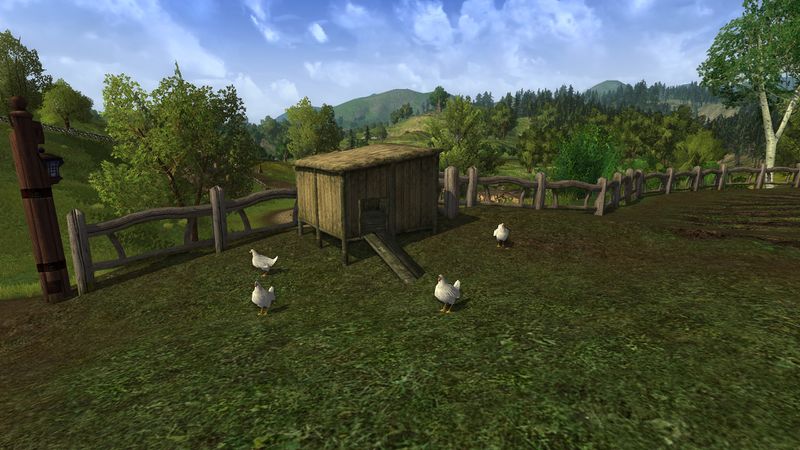 File:Tom Cotton's Farm Chickens.jpg