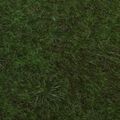 Grass Floor