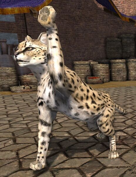 File:Ordâkhai Battle-cat (Kighân).jpg