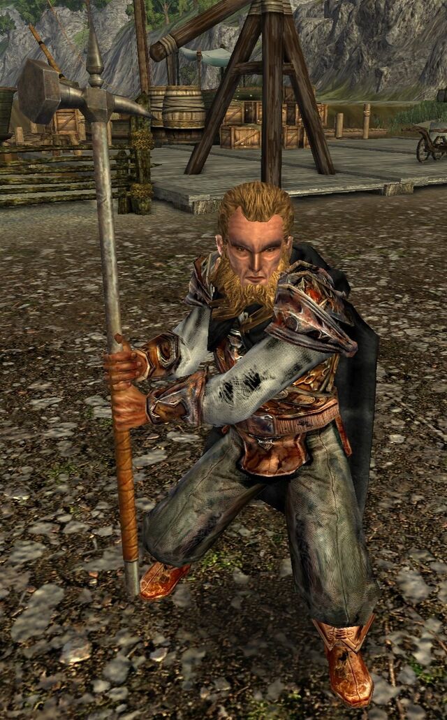 Master Tomb-robber (Mission) - Lotro-Wiki.com