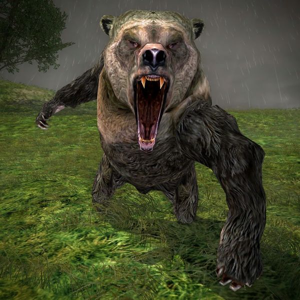 File:Curious Bear.jpg
