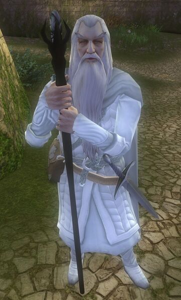 File:Gandalf (Caras Galadhon).jpg