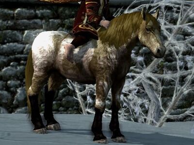 Shaggy Roan Coat: Liver Chestnut