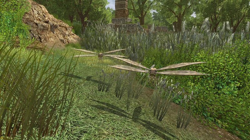 File:Skimming the Surface.jpg