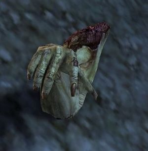 Decaying Hand.jpg