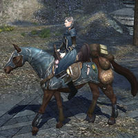Image of Steed of the Rune-keeper