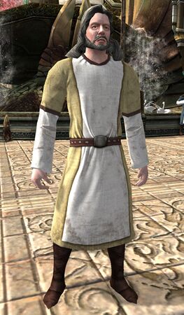 Dol Amroth Quartermaster (Essences) - Lotro-Wiki.com