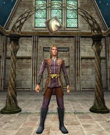 Elven Male Stable-master