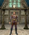 Elven Stable-master's Stand (Male)
