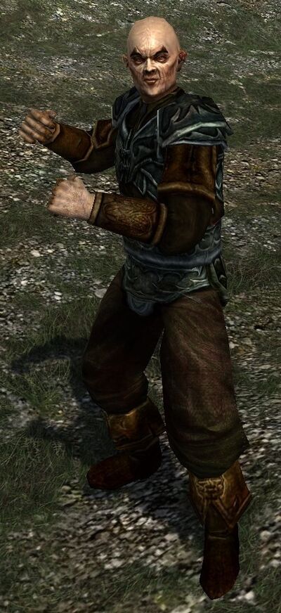 Half-orc Thug - Lotro-Wiki.com