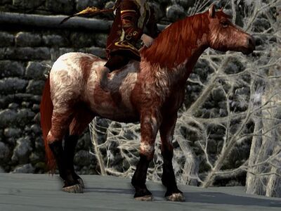 Shaggy Roan Coat: Flaxen Chestnut