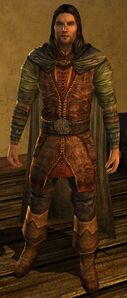 Aragorn, Lord of the Rings Online Wiki