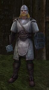 Image of Rohirrim Footman