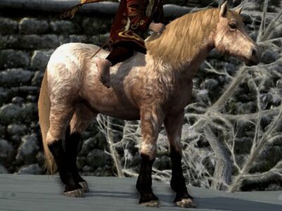 Shaggy Roan Coat: Sorrel