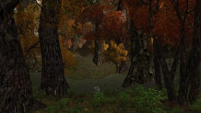 Another view of the glade of Taur Ornolf