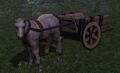 Cart Pony