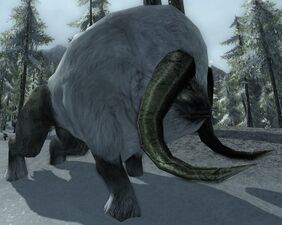 A Great Hoary Aurochs of Forochel.