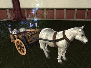 Wedding Celebration Pony