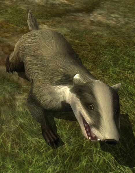 File:Angry Vale Badger.jpg