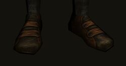 Ceremonial Disused Shoes of the Dunland Soothsayer