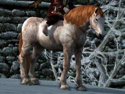 Fleabitten Coat: Copper