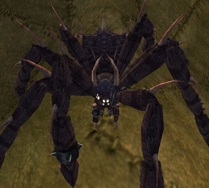 File:Manacaled Spider Appearance.jpg