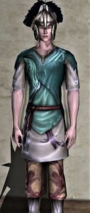 Short-sleeved Elven Tunic and Trousers