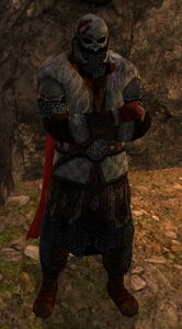 Image of Variag Mercenary-lord