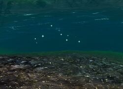 Image of Disposal Location