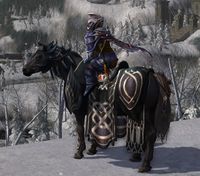 Image of Obsidian Steed (Pony)
