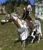 Image of Blackroot Steed