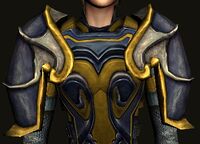 Ceremonial Rift-defender's Shoulders